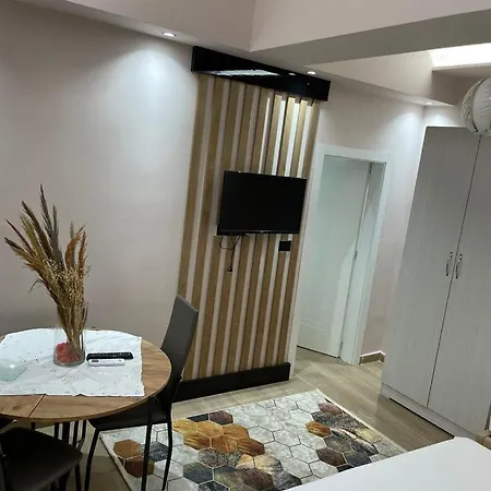 Apartment Blue Vivid Vlore